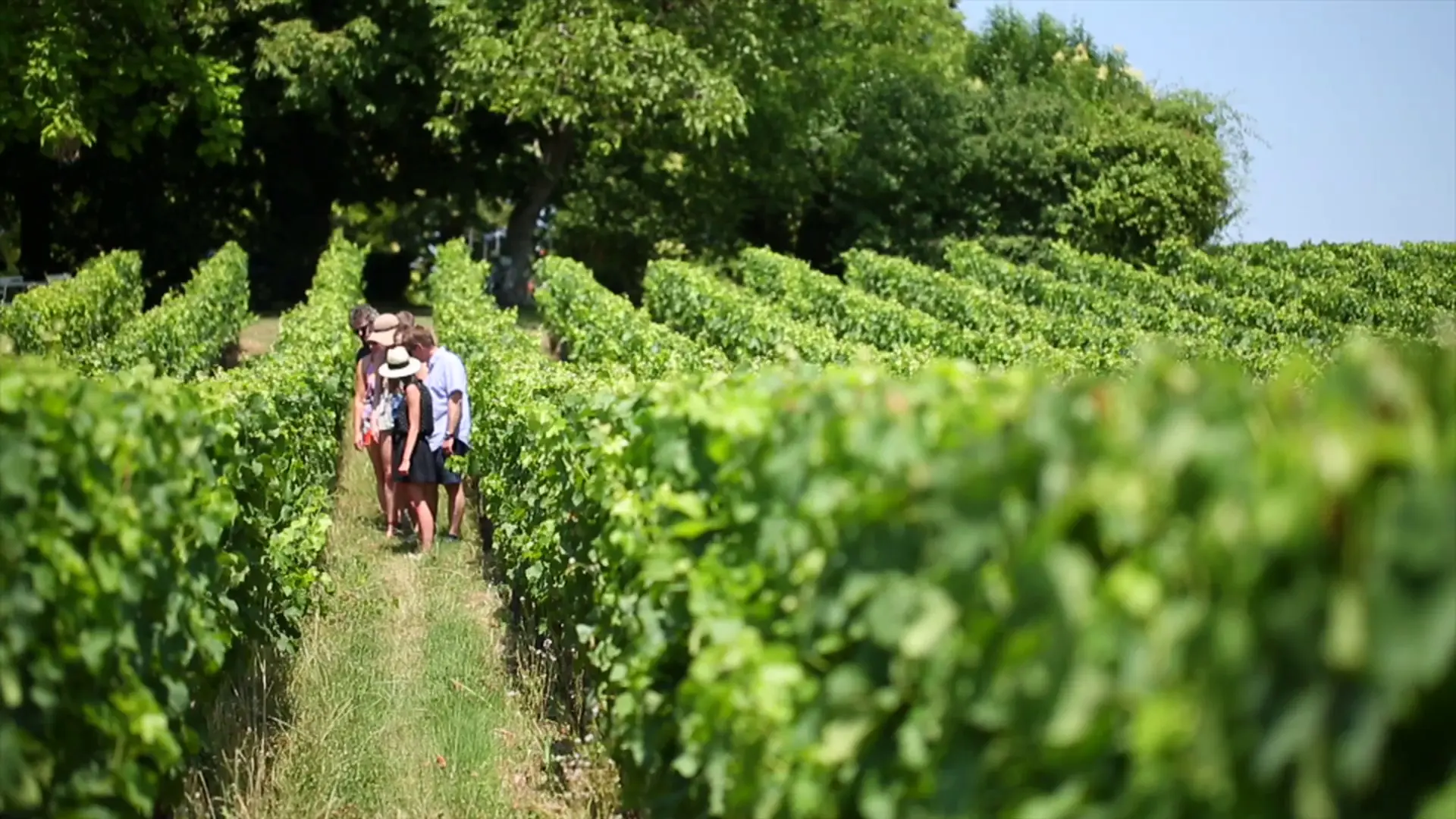 Votre-chauffeur-bordelais-bordeaux-Wine-tour